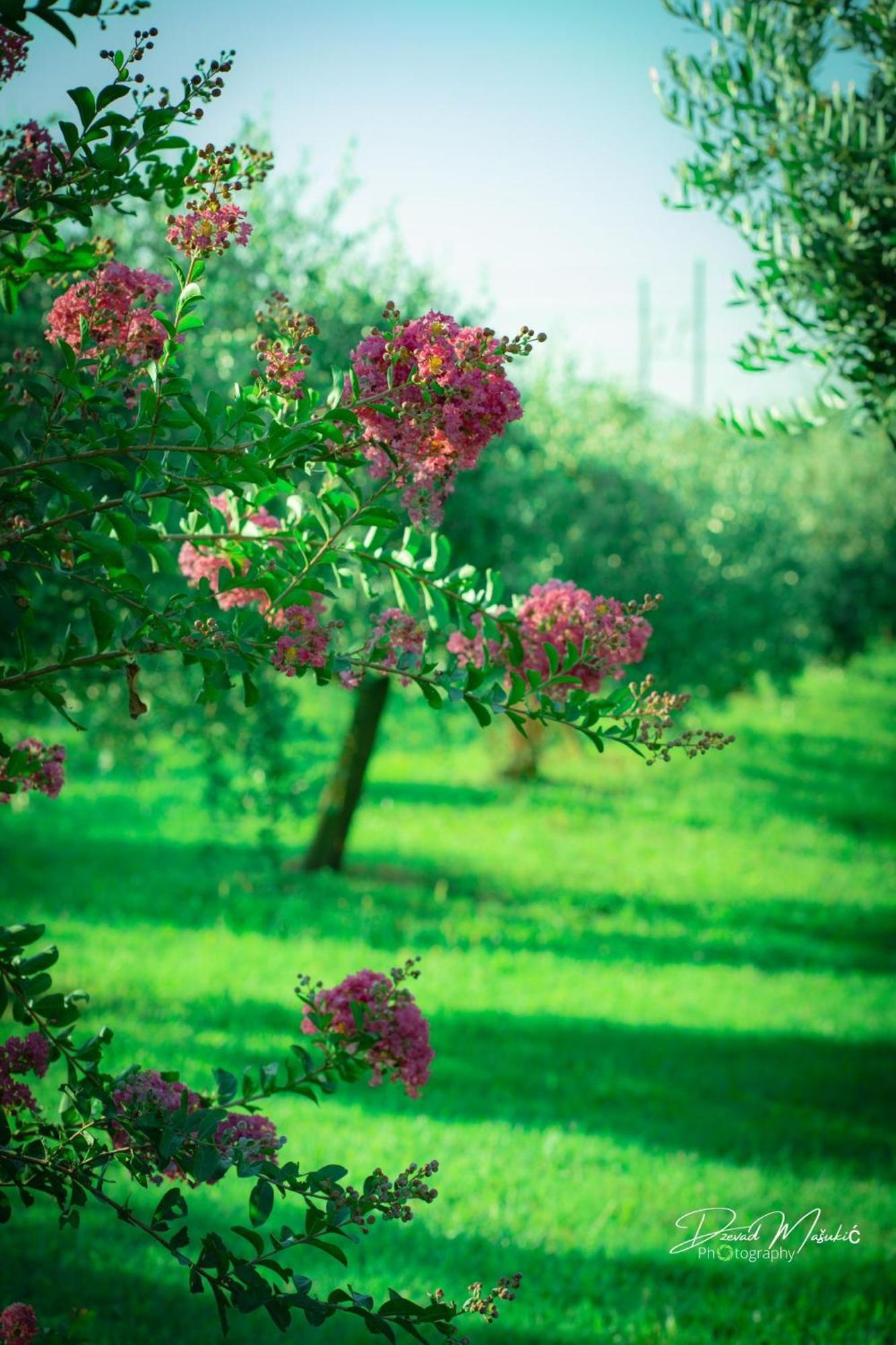 Willa Agriturismo Olistella Palazzolo dello Stella Zewnętrze zdjęcie